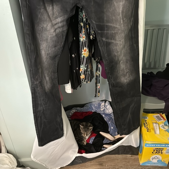 Men’s pants evolution and design is the brand their size 36 - Picture 2 of 4